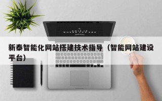 项城新泰智能化网站搭建技术指导（智能网站建设平台）